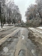 Повалені дерева, обірвані лінії електропередачі та пошкоджені авто: наслідки негоди у Львові – 03