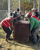 До притулку на Львівщині евакуювали двох ведмедів із зони бойових дій – 02