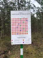 Інвестиції в майбутнє: Львівщина взяла участь в масштабній благодійній акції висадки дерев – 08