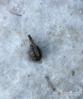 Правоохоронці затримали 40-річного чоловіка через погрози підірвати адмінбудівлю у Пустомитах – 03