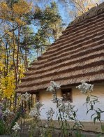 У Шевченківському гаю завершили реставрацію хати з Лемківщини – 01