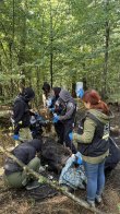 Львівські зоозахисники врятували у лісі на Рівненщині знесиленого лося – 04