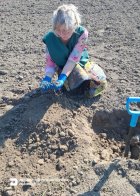 Фото з обстеження ділянок