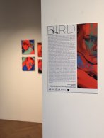 Концепція виставки ПТАХ: чому українські художники звертаються до образу птаха – 07