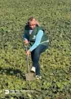 На Львівщині виявили шкідників, які можуть загрожувати майбутньому врожаю – 05