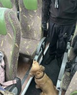 У Краківці в рейсовому автобусі знайшли контрабанду сигарет у панчохах – 02