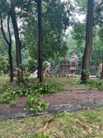 Наслідки буревію у Львові: у місті повалило дерева, світлофор та зірвало дахи – 01
