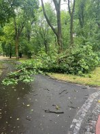 Наслідки буревію у Львові: у місті повалило дерева, світлофор та зірвало дахи – 02