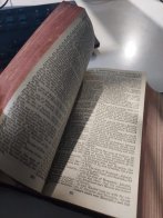 Жителька Львівщини намагалась вивезти за кордон старовинну Біблію – 03