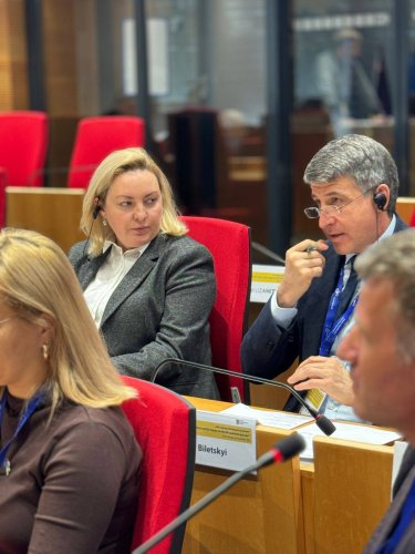 Робоча група ЄКР підтримала започаткування макрорегіональної стратегії ЄС для Карпатських регіонів – 02