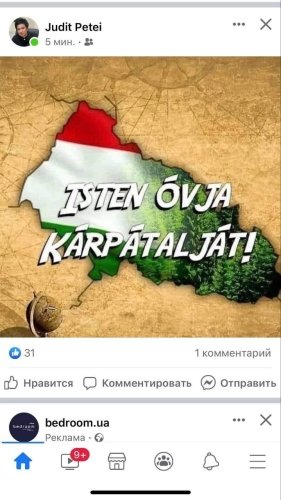 Сепаратизм на Закарпатті: депутатка облради зобразила регіон у кольорах угорського прапора – 01