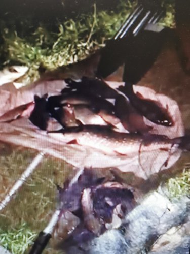 На Яворівщині спіймали двох чоловіків, які незаконно ловили рибу на гумовому човні – 01