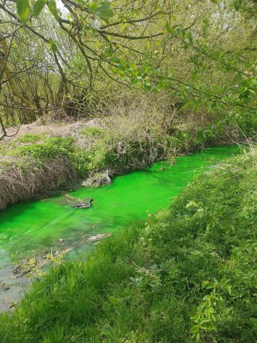 Фото: Вікторія Линіна\ Facebook