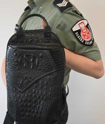 Дві жінки везли сумки зі шкіри охоронюваних видів пітона та крокодила через кордон з Львівщиною – 02