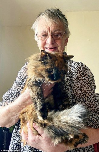Кішка Розі та її власниця Ліла. Фото: Daily Mail