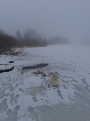 На Львівщині повернули у водойму 7 кг риби після рейдів – 01