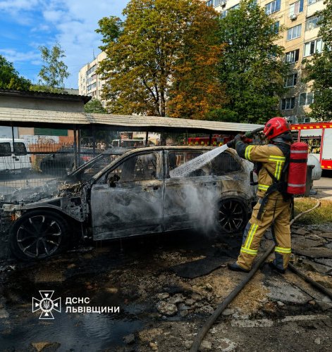 Фото: ДСНС