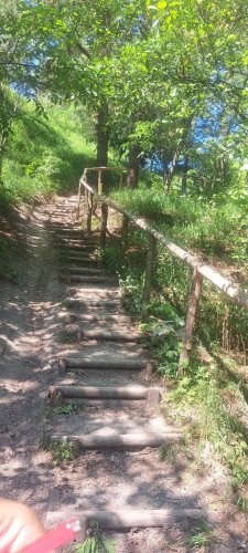 Велосипедистів Львова закликають не їздити на гору Лева через руйнування схилів – 01