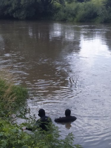 Поплив за течією та зник: на Львівщині водолази шукають чоловіка, який пропав на Дністрі – 01