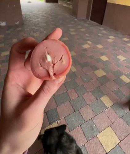 Скриншот із відео, на якому сосиска із таблетками