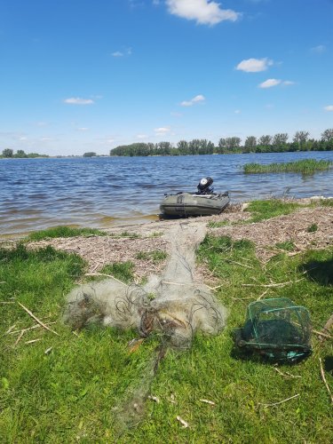 Фото: Держекоінспекція