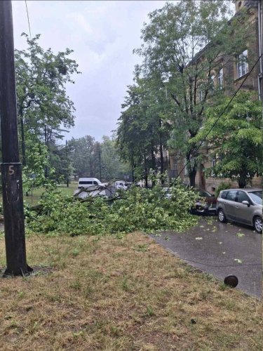 Фото з місця інциденту