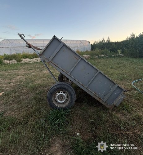 Причіп з якого впали неповнолітні