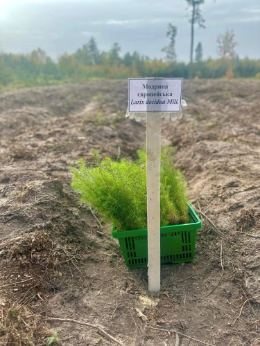 Фото зі сторінки Львівської ОВА