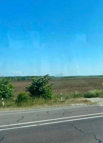Виоране поле від маку