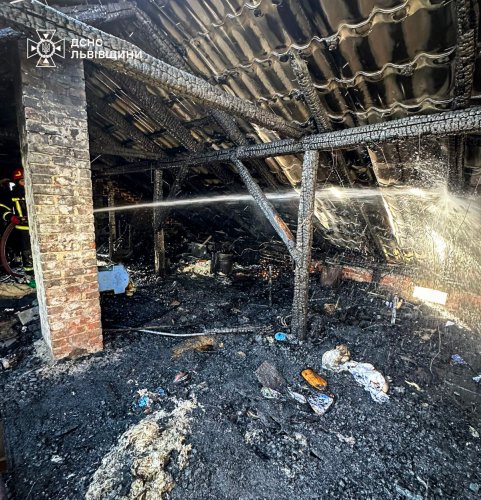 Через пожежу у Зимній Воді госпіталізували подружжя з дитиною – 02