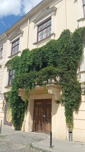 У Львові створили реєстр ліан: вже внесено 322 рослини – 02