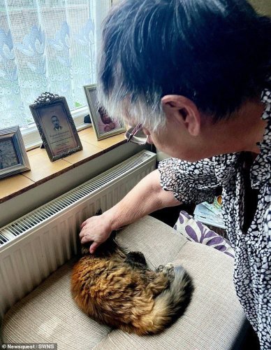 Господарка гладить кішка Розі. Фото: Daily Mail