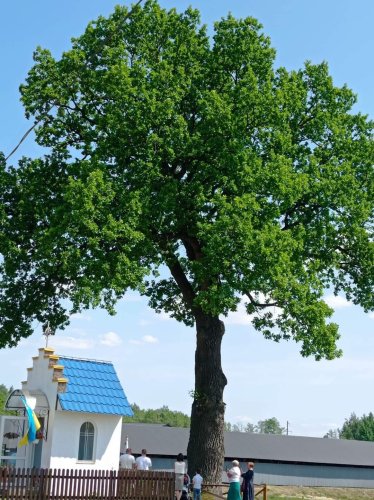 Фото зі сторінки Добротвірської селищної громади