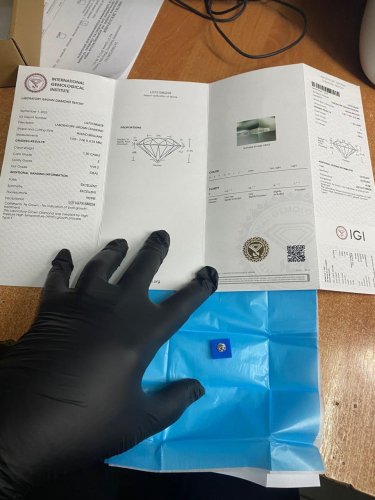 Бус з діамантами й тіньові iPhone: в Шегинях спіймали зловмисників – 01